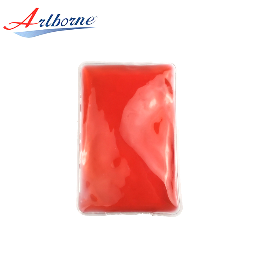 Artborne food at home ice pack suppliers for back-2